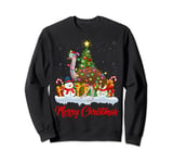 Emu Bird Xmas Tree Lighting Santa Emu Christmas Sweatshirt