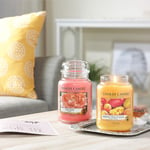 Yankee Candle Scented Candle | Mango Peach Salsa Large Jar Candle | Burn Time: