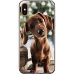 Apple iPhone X Transparent Mobilskal Ung Hund