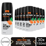 Lynx 72H Anti-Perspirant Deodorant Gold, Black or Jungle Fresh 150ml, 30 Pack