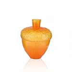 Robur vas 2023 Edition H 11cm Orange - Vas Vitreum