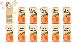 True Mints PEACH Flavour (12-pack) - Sugar Free Mints - Xylitol Mints - Fruit Pastilles - Sugar Free & Plantbased Travel Sweets with Natural Flavours