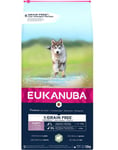 Eukanuba Grain Free L Puppy lampaanlihalla, ison rodun pennuille, 12 kg