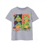 Teenage Mutant Ninja Turtles Childrens/Kids Boo Crew Marl T-Shirt - 3-4 Years