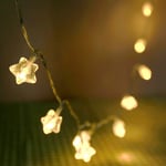 CawBing 3.94FT 20LED String Lights, Star Heart Shape Bedroom Fairy Lights with Clip, Battery Operated Energy Saving Light indoor Hang Ornaments, Background Decorations Light for Photographic