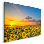 Feeby Frames, Single Panel Canvas, Wall Art Picture, Canvas Picture, Decorative Picture, 50x70 cm, MEADOW, FLOWERS, SUNFLOWER, SKY, NATURE, LANDSCAPE, YELLOW