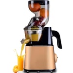 Slow Juicer Masticating Juicer Wide Mouth Juicers Cold Pressed Fruits & Vegetables Quiet High Yield Anti-Oxidation Higher Nutrients and Vitamins,Gold