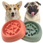 CAISHOW Slow Feeder Dog Bowls Puzzle Dog Bowls, Non Slip Interactive Dog Feeding Bowls Slow Down Eating, Bloat Stop Maze Dog Dishes Dog Feeder for Small Medium Size Dogs