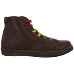 Bottines Andrea Conti  0064805