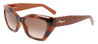 Lunettes  Soleil Salvatore Ferragamo SF1043S TORTOISE/BROWN HAV 54/18/145 femme