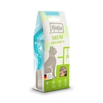 MjAMjAM - Snack Premium pour Chat - Snack Box - délicieux Filet de Boeuf, Pack de 1 (1 x 35 g), Naturel sans Aucun Conservateur de synthèse