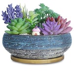 ARTKETTY 20.3 CM Large Round Succulent Plant Pots with Drainage Tray Ceramic Bonsai Pots for Indoor/Outdoor Plants Garden Decorative Cactus Flower Plant Container Bowl