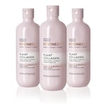 Baylis & Harding Kindness + Plant Collagen, Rose Water & Coconut Milk Fragrance, 500 ml Cleanse & Rejuvenate Body Wash (Pack of 3) - Vegan Friendly