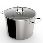 Vivo By Villeroy & Boch Silver Stainless Steel Cooking Pot With Lid 3.2L