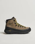 Danner Mountain 600 GTX Suede Trail Boot Olive