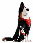 Rooster the Sheepdog Secret Life of Pets 2 Cardboard Cutout with FREE Mini