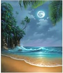 CHENWEI 5D DIY Diamond Painting by Number Kits，Seaside Moon Beach(16X20inch/40X50CM)