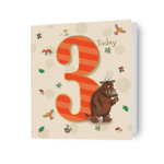 3rd Birthday Card The Gruffalo Kids Age 3 Card Official Product