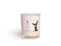 LIBRA FINE ARTS Sirus the Donkey Spiced Orange Candle