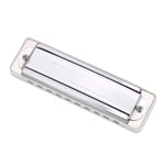 KONGSHENG AM-20D Phosphor Bronze Reed 10 Hole 20 Tone Blues Harmonica In The TPG