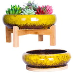 ARTKETTY Lot de 2 Pots de Fleurs d'intérieur en céramique pour Plantes succulentes colorées - 18,5/25 cm - pour Plantes succulentes - pour Cactus et Jardin