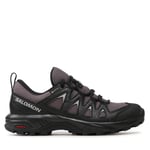 Sneakers Salomon X Braze Gtx GORE-TEX L47180700 Grå