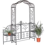 Dandibo - Arche à Roses 18602 en métal Fer forgé avec Portail 215 x 210 Portail de Jardin