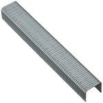 Bosch Accessories 2609200201 Agrafe à fil plat de type 51 10 x 1 x 8 mm 1000 pièces