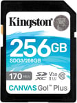 Kingston Canvas Go! Plus Carte Sd 256Gb Sdxc 170R C10 Uhs-I U3 V30