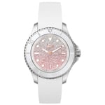 Ice-Watch Ladies ICE Steel Watch 020371