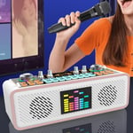 Karaoke Sound Card Kit Type C Charging BT Speaker Wireless Microphone Kit With