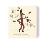 The Gruffalo Birthday Card, The Stickman Birthday Card, Official Product