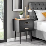 Taylor Painted Wooden Bedside Table With 2 Drawers and Gold Handles