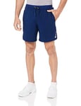 Nike Men's M NK FLX Stride Short 5IN BF Sport, Blue Void/(Reflective silv), L,AJ7777