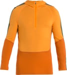 Icebreaker Merino 200 Sonebula LS Half Zip M