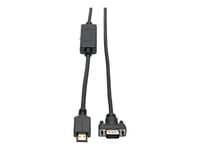 Eaton Tripp Lite Series HDMI to VGA Active Adapter Cable (HDMI to Low-Profile HD15 M/M), 10 ft. (3.1 m) - Câble adaptateur - HDMI mâle pour HD-15 (VGA) mâle - 3.05 m - blindé - noir - vis...