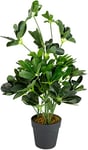 Leaf Arbre Parapluie Artificiel Schefflera Arboricola avec Pot en Plastique Noir, Vert, 55 cm