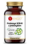 Yango - Probiotic Scb-10 With Prebiotic (90 Caps)