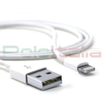 Câble 1m USB Recharge de Batterie Cable pour IPAD Air Mini Pro IPHONE 13 14