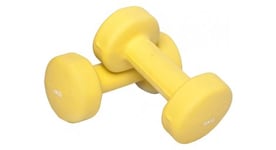 1 kg  2x0 5  a 10kg  2x5 0  halteres fitness en vinyle   poids   8 kg