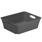 Rotho Living petite boîte de rangement 1l, Plastique (PP) sans BPA, anthracite, C6/2.5l (18.6 x 15.1 x 6.0 cm)