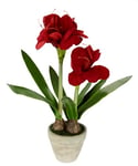 Flair Flower Amaryllis Artificiel en Pot 50 cm - Fleur de Noël - Fleurs en Soie - Décoration de Noël - Fleurs d'hiver - Arrangement Floral en Pot - Plantes artificielles - Rouge