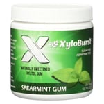 Xylitol Gum Spearmint 100 Count By Xyloburst