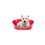 Ferplast Dog Bed Cat Bed Small Dog Bed Plastic Dog Bed Washable Breathable and Non-slip Dog Dog Bed Siesta Deluxe, 54 x 35 xh 21.5 CM, Bordeaux