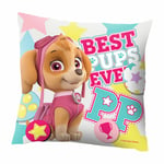 Coussin Paw patrol Skye Everest 40x40cm Décoratif en Microfibre Enfants Sofa