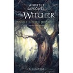 Sorceleur (Witcher) - Poche , Tome 2 : L'Épée de la providence (Poche)