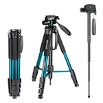 Neewer - 10090794 - Trépied Monopode Portable 177 cm en Alliage Aluminium avec Tête 3 Voies Pivotante Panoramique, Sac pour DSLR, DV Vidéo Caméscope, Charge Admissible de 4 Kilogrammes Bleu (Sab264)