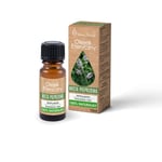 Naturlig pepparmynta eterisk olja 10ml