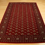 Rugs Direct Rug, 100% New Zealand Wool, Red, 240cm x 340cm