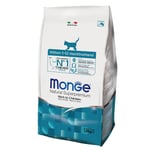 Monge Super Premium Kitten - 1,5 kg